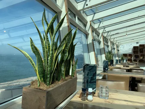 Restaurant ZILT