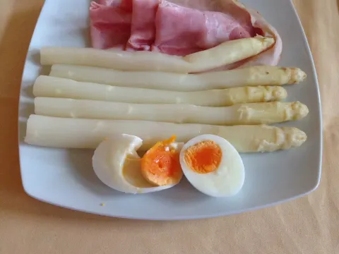 De Spaansche Vloot