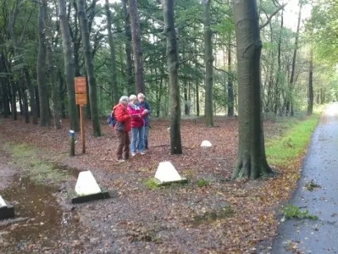 Het Boscafe