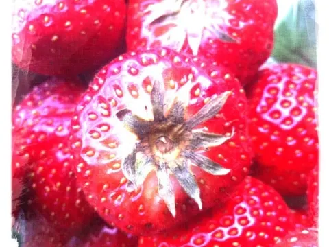 Gebr. Van Hezik Groenten & Fruit