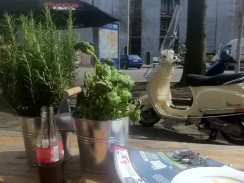 Foto 2 van Caffee Rijnboog