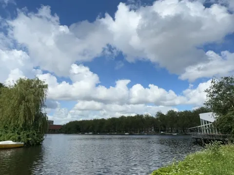 Foto 3 van Cedars