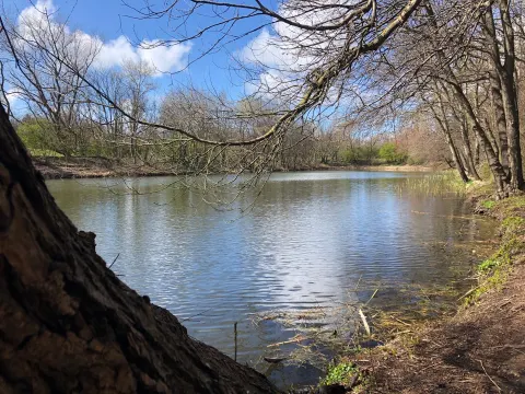 Duinpark Paasdal