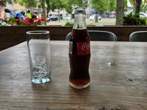 De Zwaan