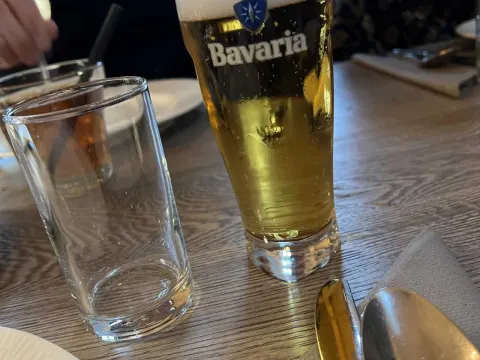 De Zwaan