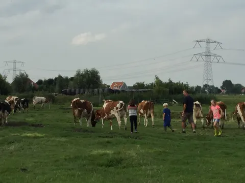 Foto 2 van Boerderij De StadsHoeve