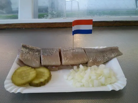 Foto 5 van Zeekasteel