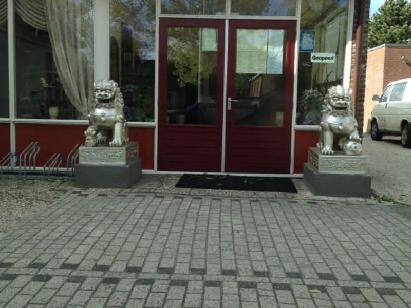 Foto 1 van Dragon garden