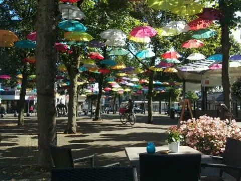 Foto 5 van Brasserie "Brassen Op De Brink"