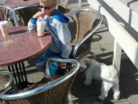 Cafetaria Appie Happie