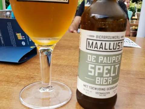 Bospaviljoen Appelscha