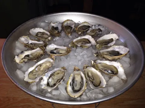 Oesters aan de Tromp