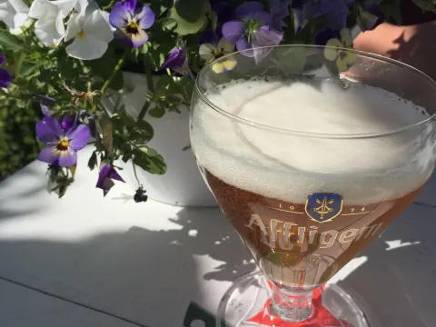 Foto 5 van Het Wapen van Ens