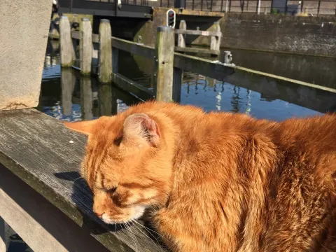 Foto 2 van Eethuis De Oude Rokerij
