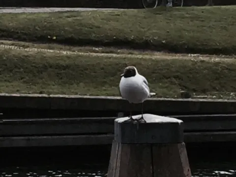 Eethuis De Oude Rokerij
