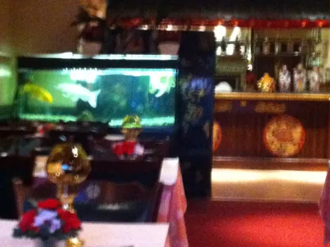 Chinees Indisch Restaurant De Mandarijn