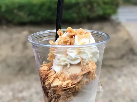 Paul's IJsboerderij