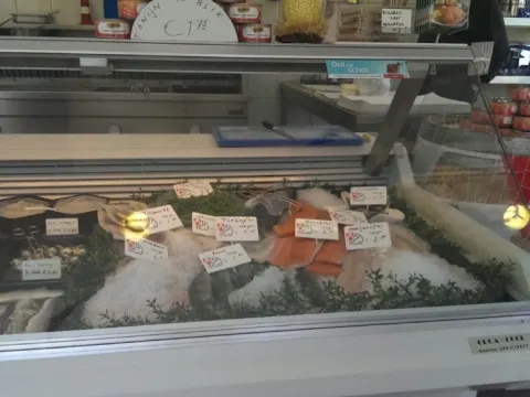 Foto 4 van de vishoek