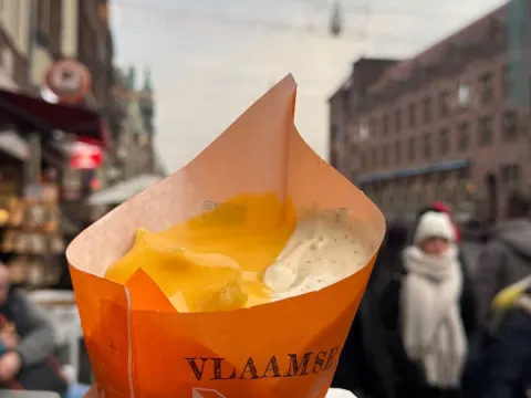 Vlaamse Frites