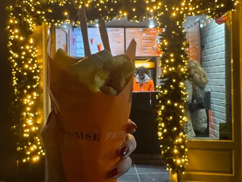 Vlaamse Frites