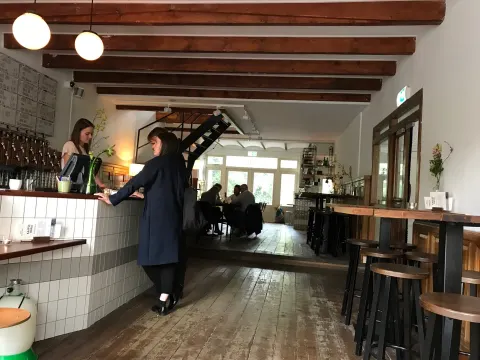 Kaapse Maria