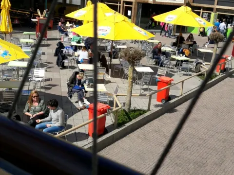 Restaurant Linnaeushof