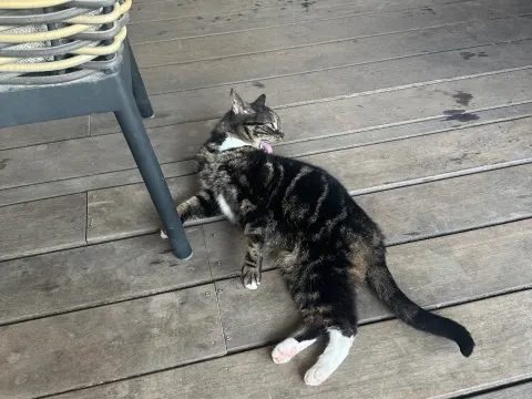 Beachclub TWINS