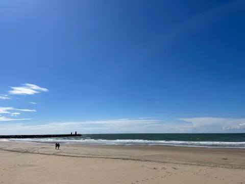 Fonk Beach
