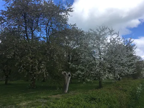 Foto 2 van Herberg De Zoelensche Brug