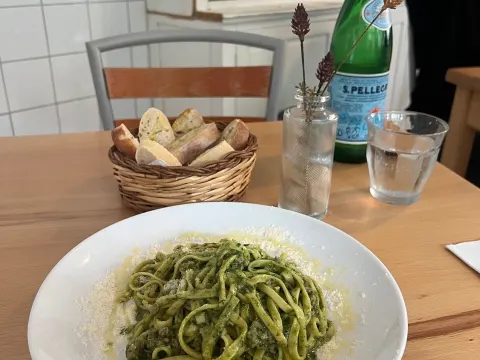 Salvatorica