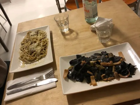Salvatorica