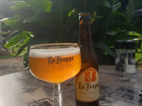 Het Bolle Bevertje