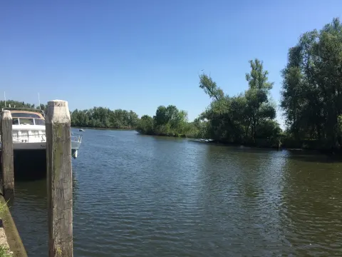 Foto 3 van Het Bolle Bevertje