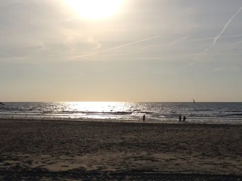 Bononono