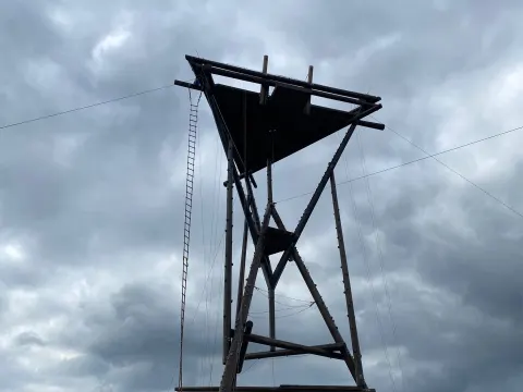 Zilt aan Zee