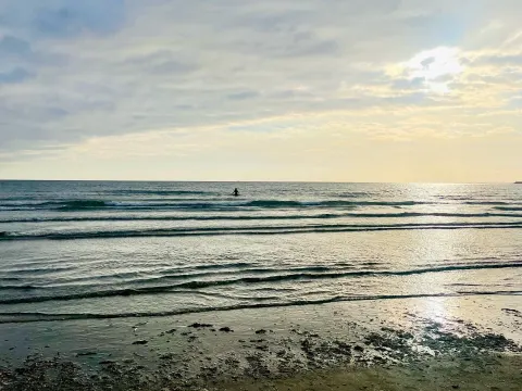 Zilt aan Zee
