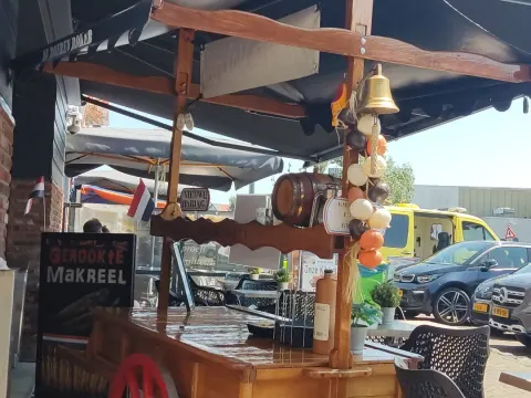 Dolfijn
