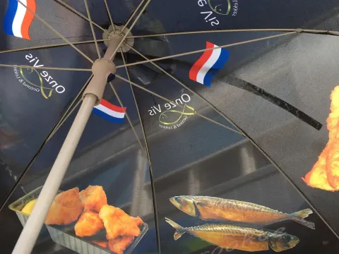 Dolfijn