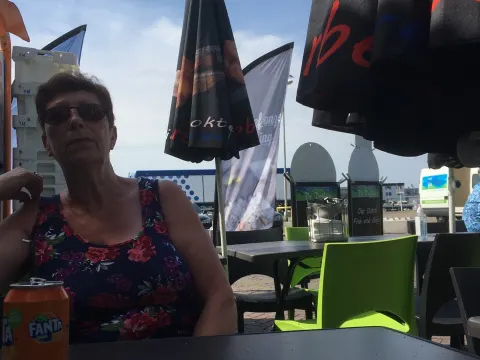 Dolfijn