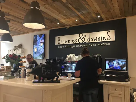 Brownies & Downies