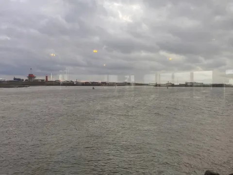 Sea you