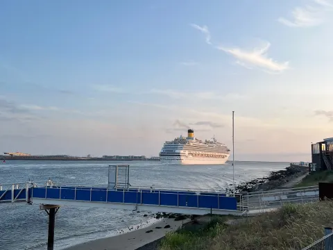 Sea you