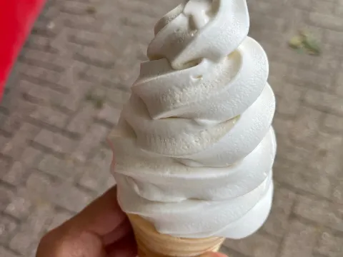 Hans zijn frietje