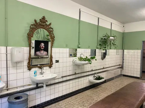Foto 3 van De Groene Afslag