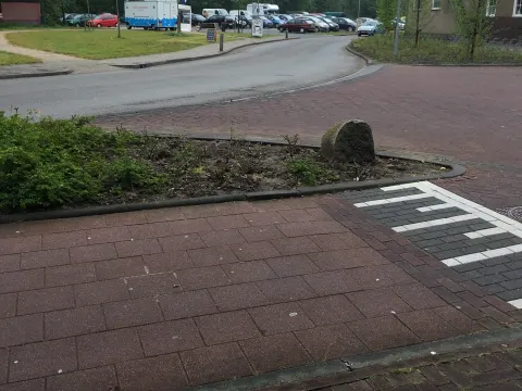 Joke's visdomein