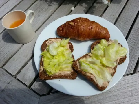 Tostiijzer