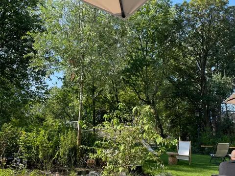 Spring Brasserie