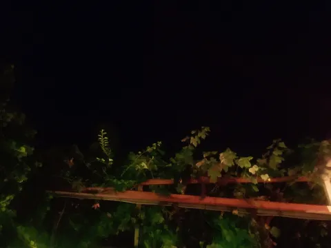Nieuwe Bosporus