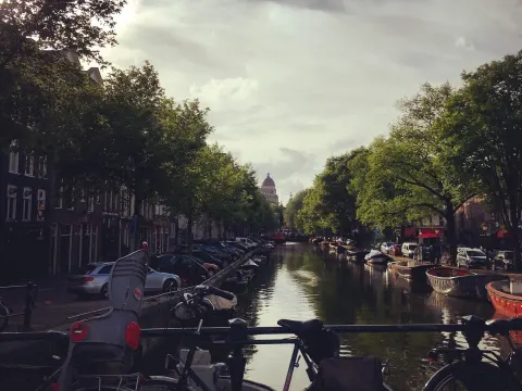 café new amsterdam