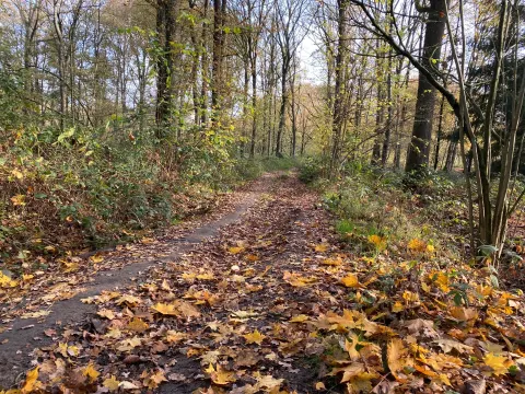 Boerenhofstede